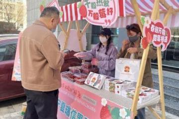 宁夏名优特色农产品展销中心春季促销活动火热开启