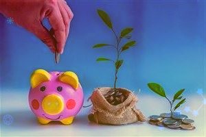 部分银行为何停发联名信用卡