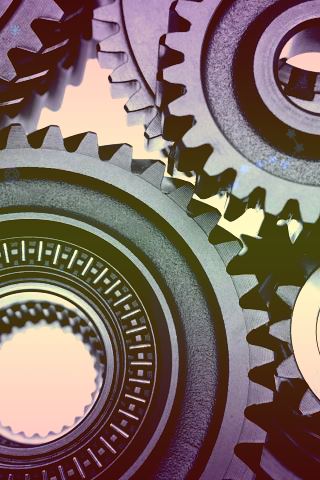 2024中国网络媒体论坛解码中国“新文化”走红海外