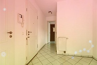 追光体育带给你什么？他们这样回答……