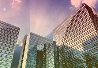 上海外国语大学尚阳外国语学校丨一颗红心多地传，游学并重连真情